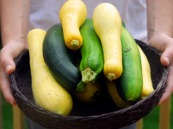 Farmer’s Market